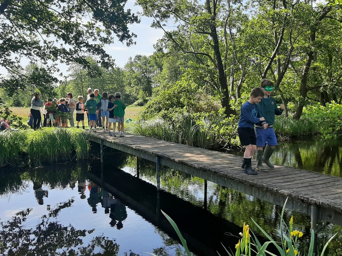 Kinderen lopen over een vlonder bij het water