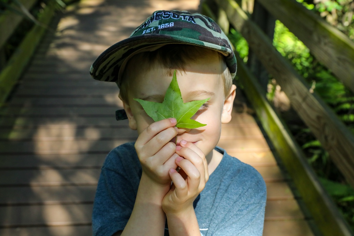Jongen houdt een blad voor zijn gezicht