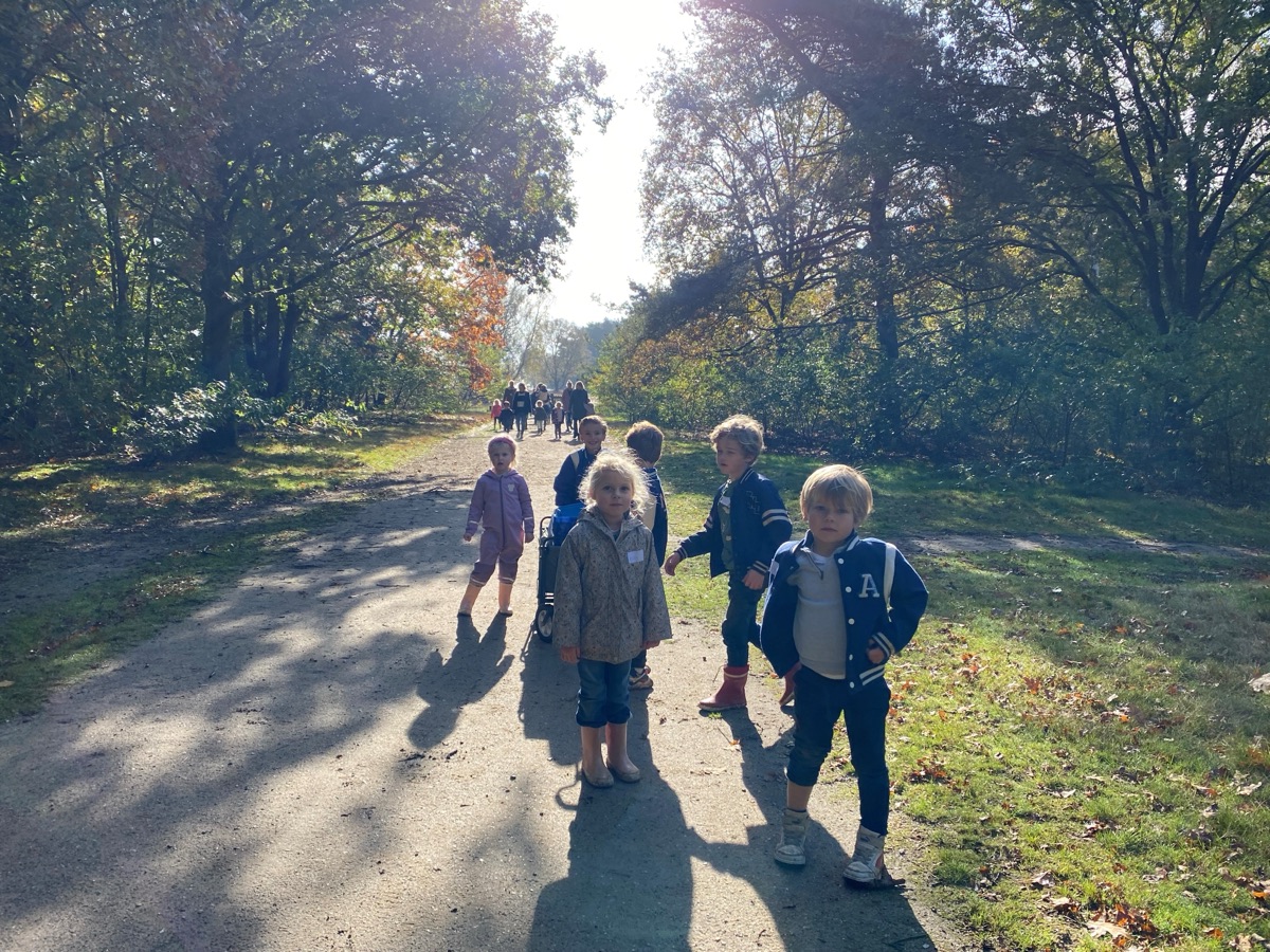 Kleuters wandelen over een zonnig bospad